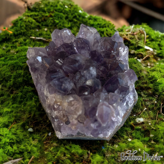 Amethyst Cluster