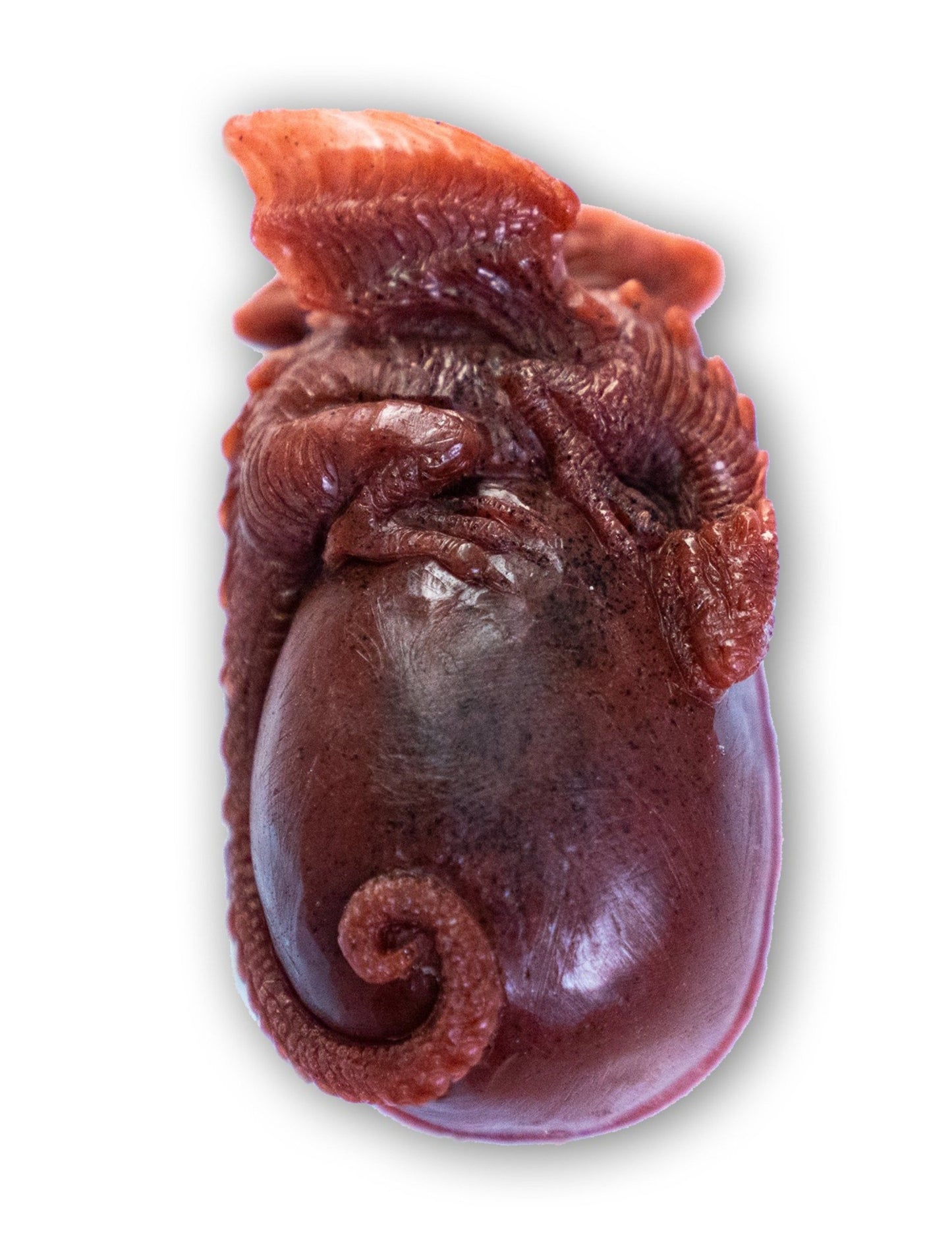 Dragon Soap
